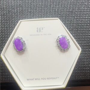 Stunning Purple Earrings with Silver Accents